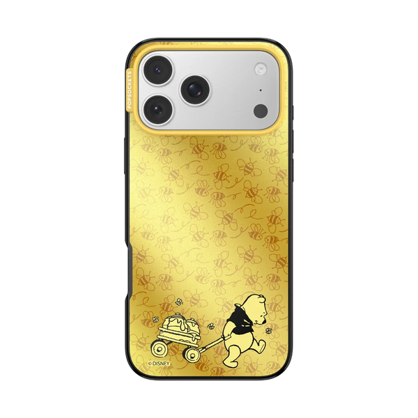 Winnie Pooh Case