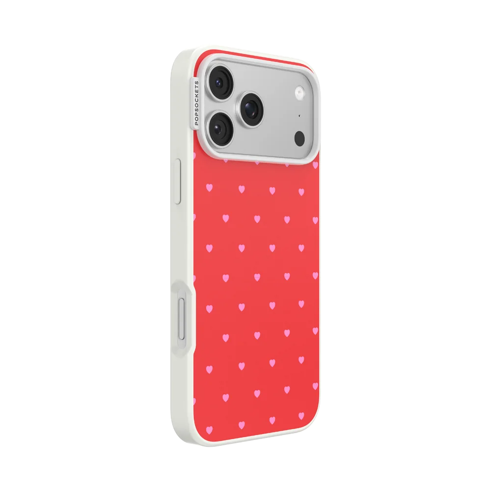 Sweet Spicy Case