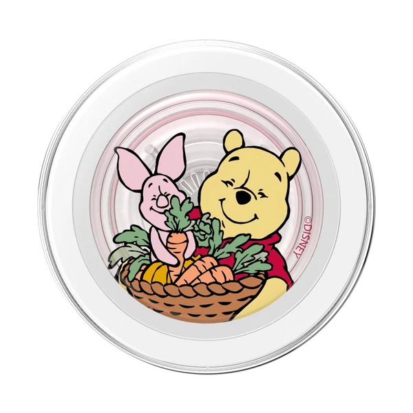 Winnie Pooh Grip