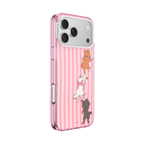 Aristocats MS Case