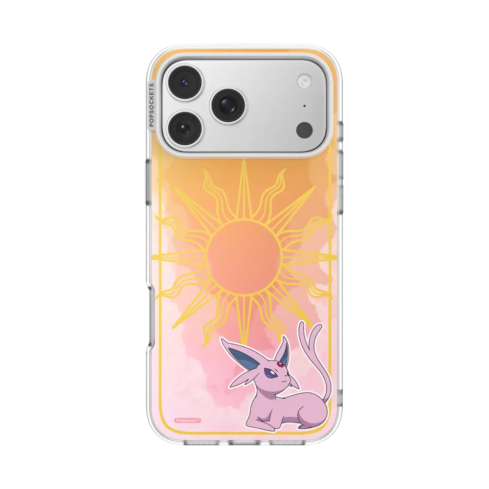 Pokemon Anniver Case