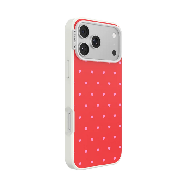 Sweet Spicy Case