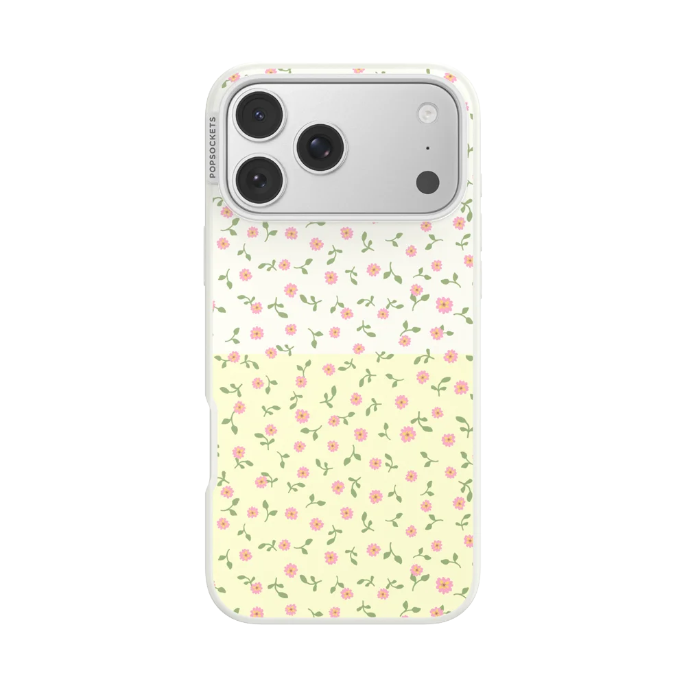 Sunset Oasis Case