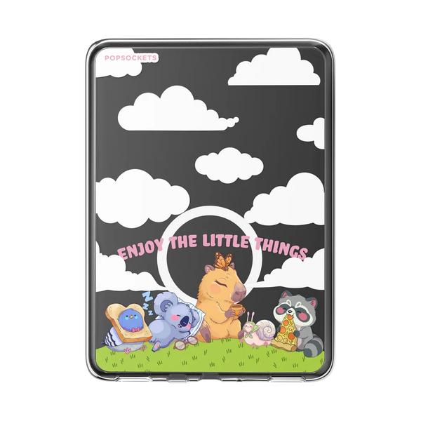 Kindle MagSafe