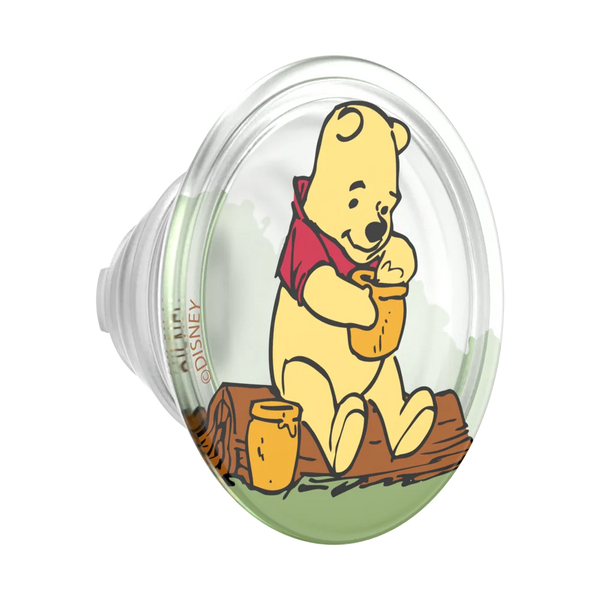 Winnie Pooh Grip