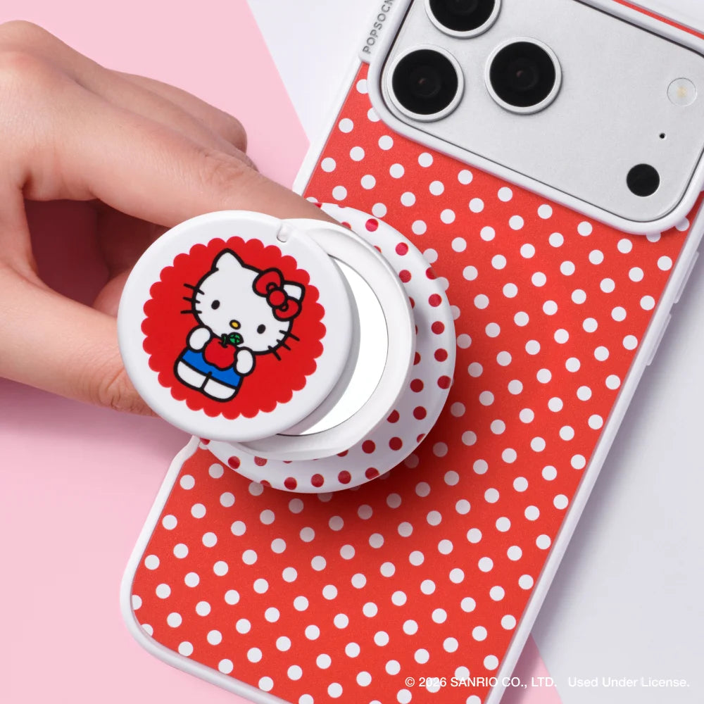 sanrio-case-master