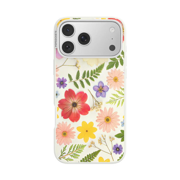 Sunset Oasis Case