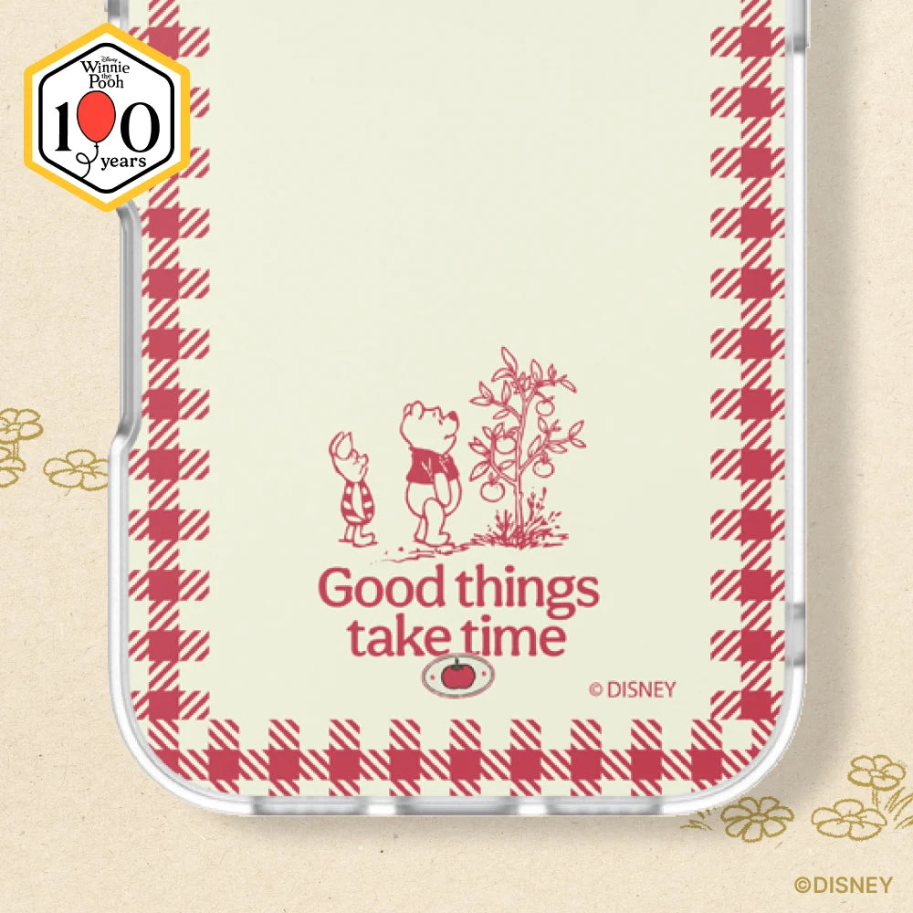 Winnie Pooh Case
