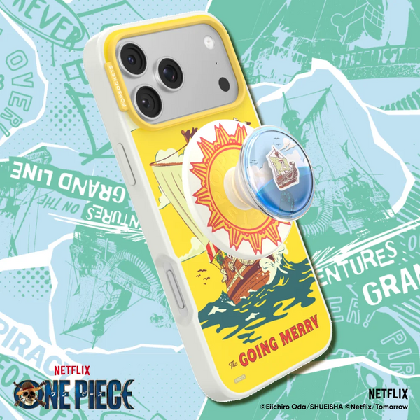 Onepiece Case