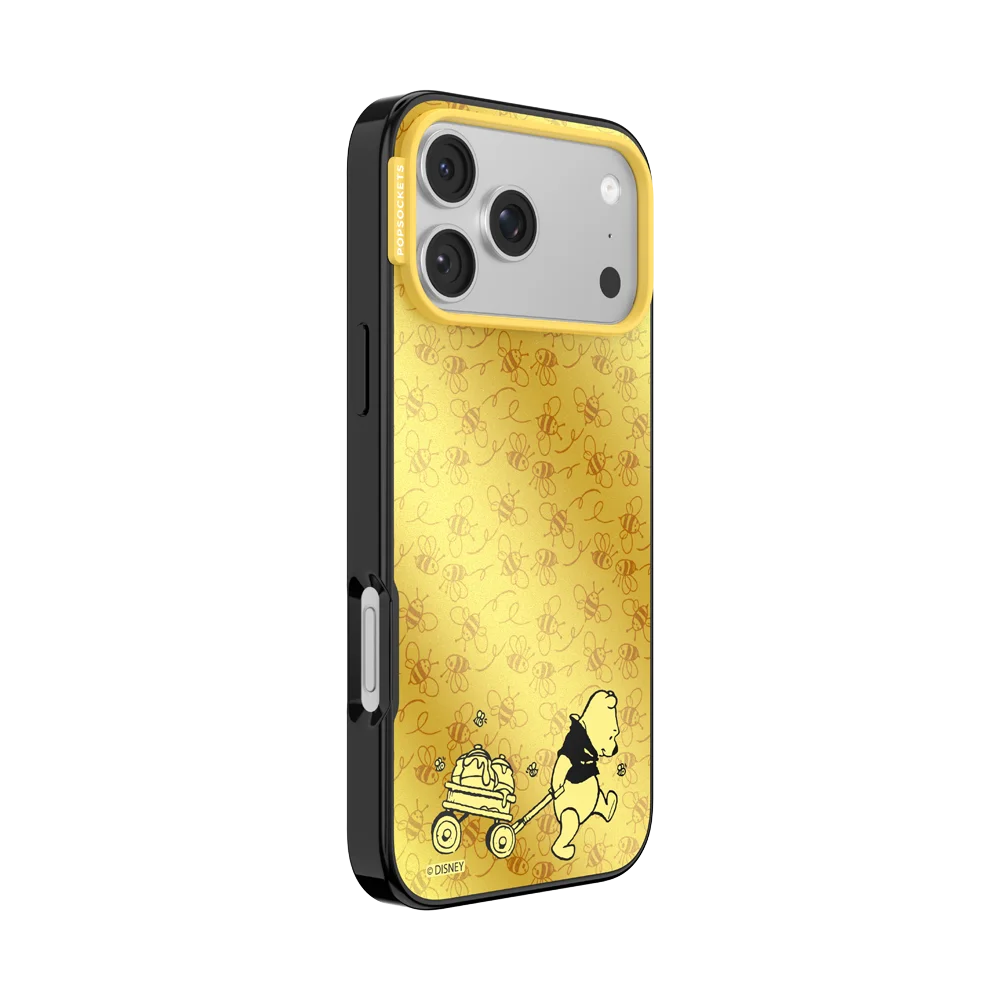 Winnie Pooh Case