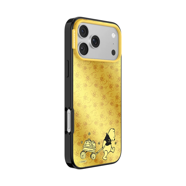 Winnie Pooh Case