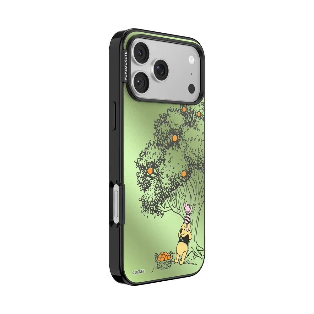Winnie Pooh Case
