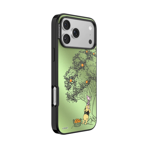 Winnie Pooh Case