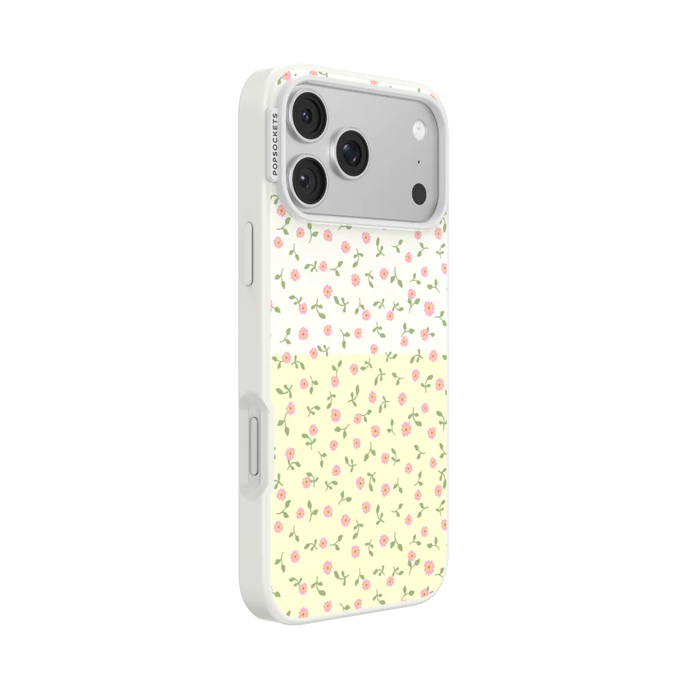Sunset Oasis Case