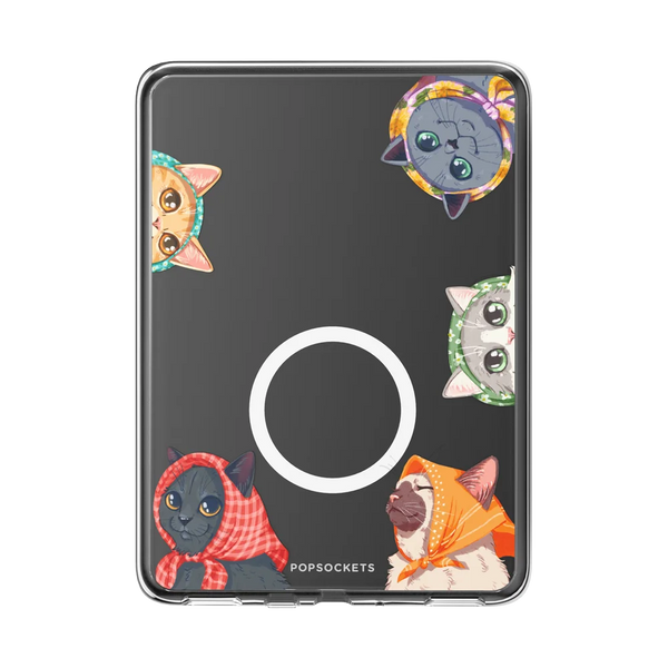 Kindle MagSafe