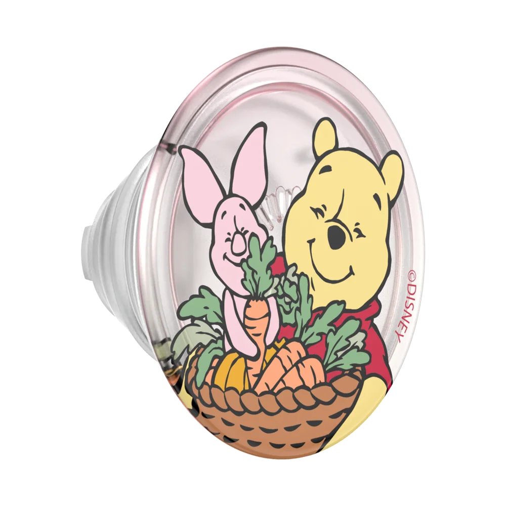 Winnie Pooh Grip