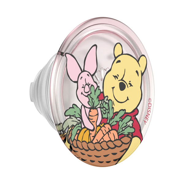 Winnie Pooh Grip