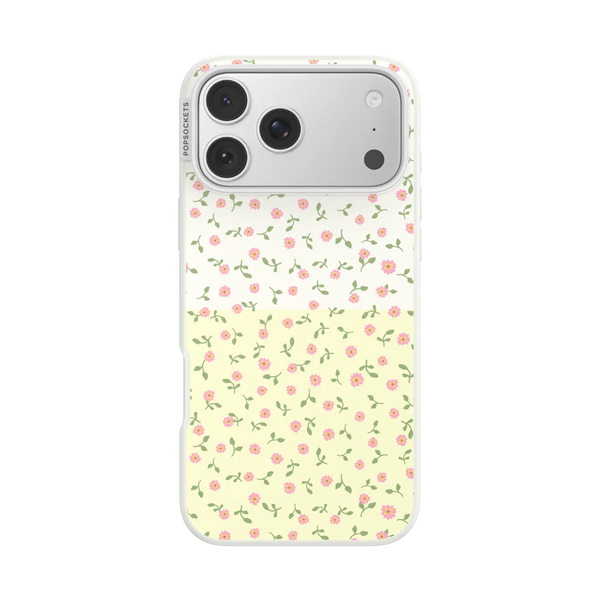 Sunset Oasis Case