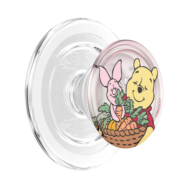 Winnie Pooh Grip