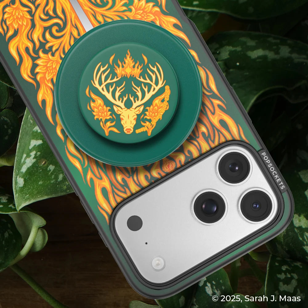 Throne Glass Case