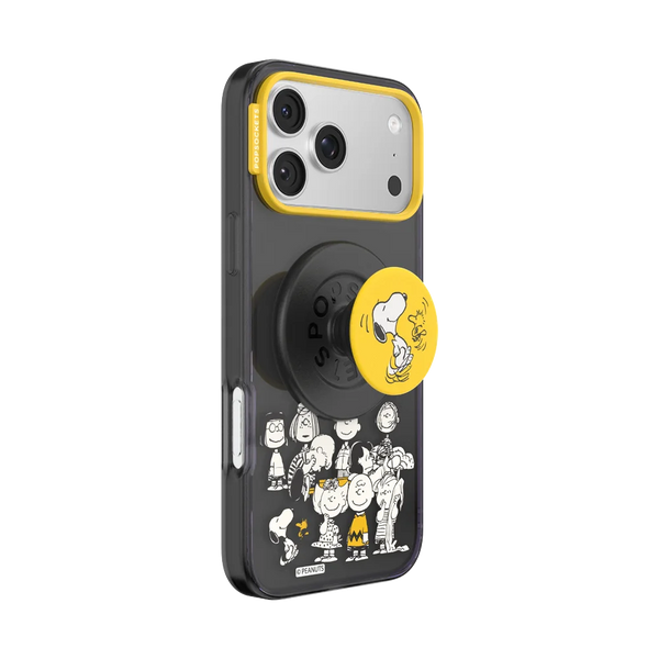 Peanuts Case