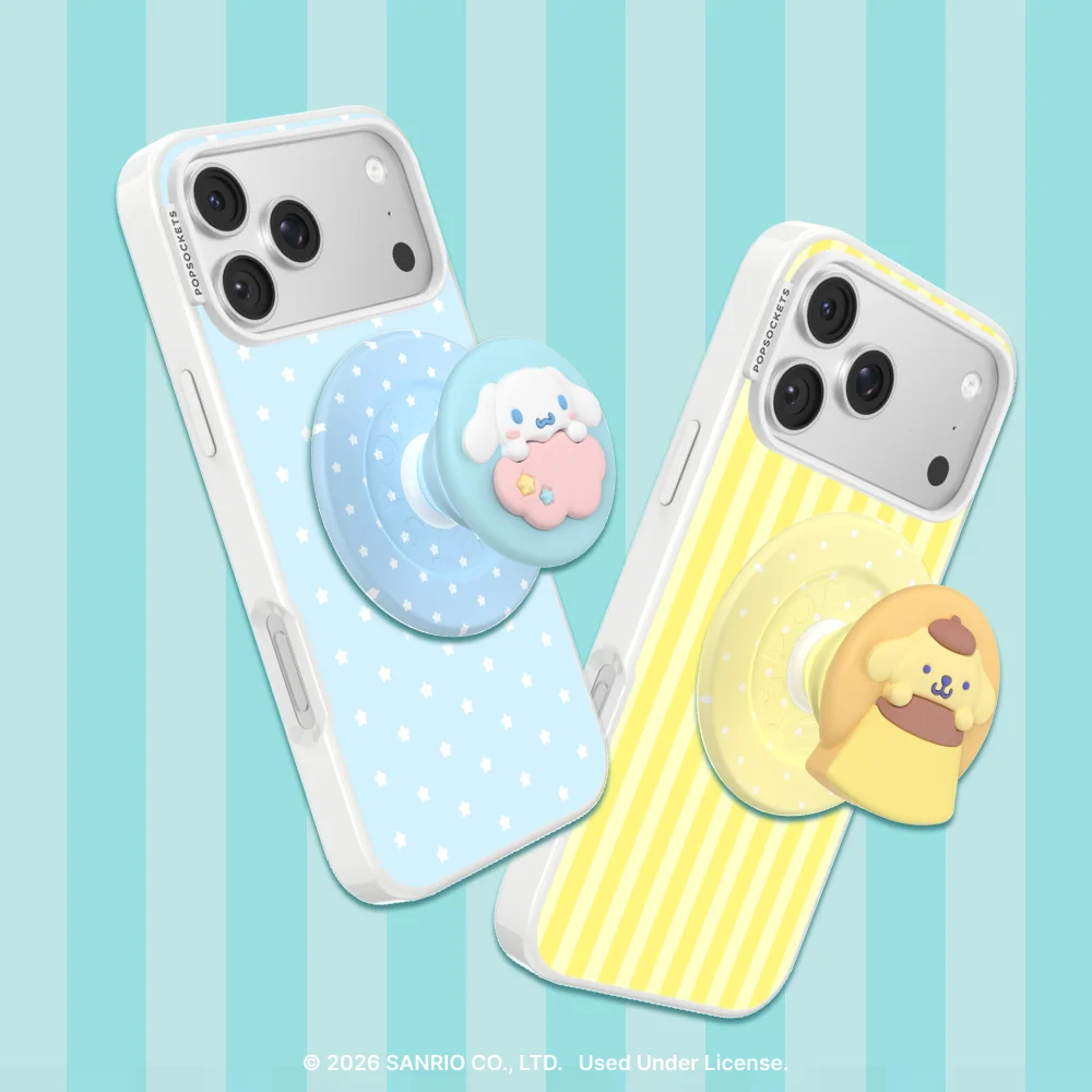 sanrio-case-master