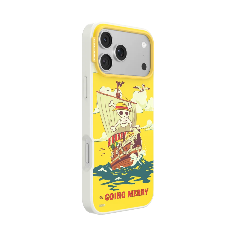 Onepiece Case