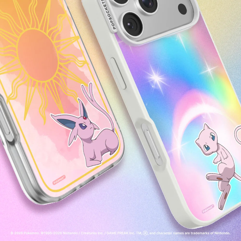 Pokemon Anniver Case