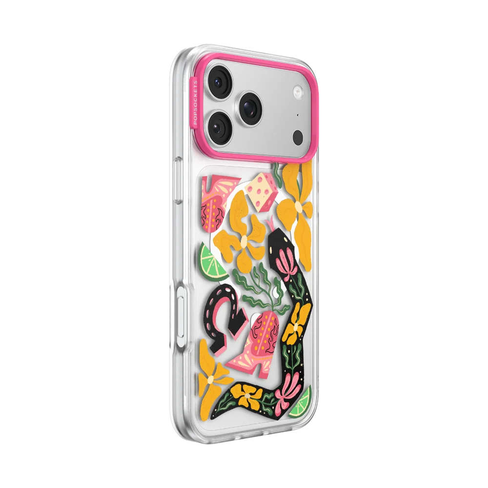 Sunset Rodeo Cases