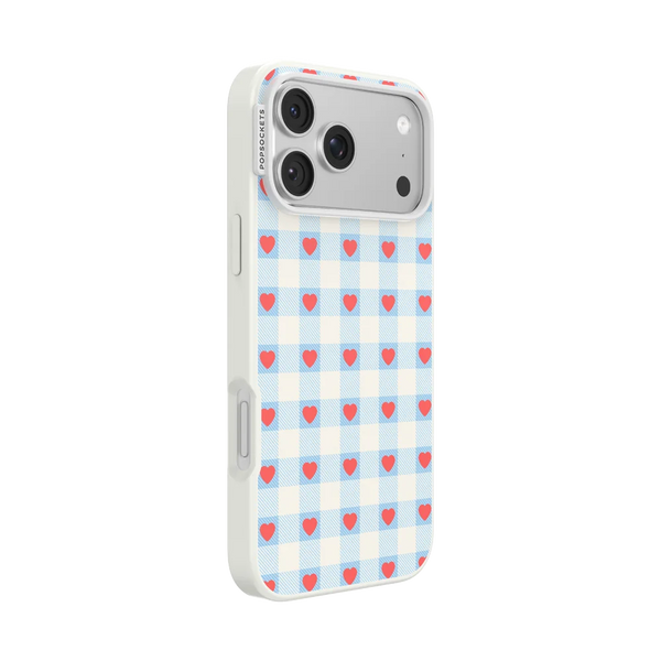 Sweet Spicy Case