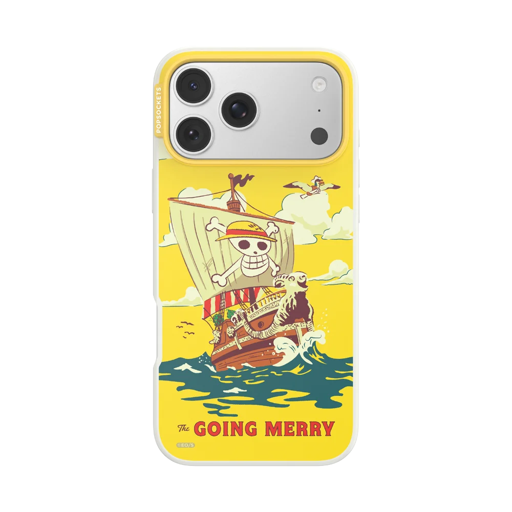 Onepiece Case