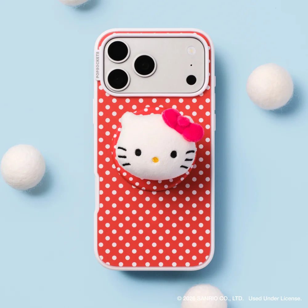 sanrio-case-master