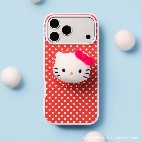 sanrio-case-master