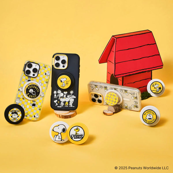 Peanuts Case