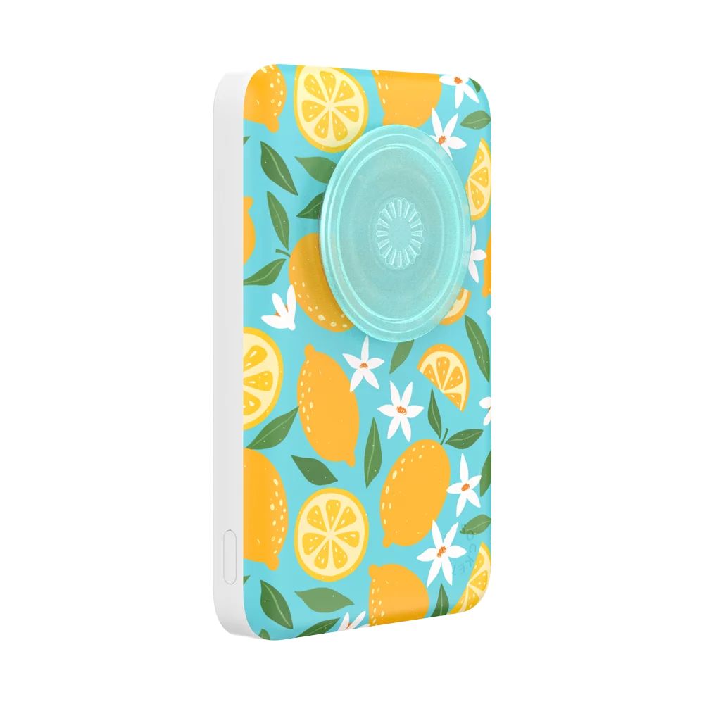 Bodega Powerbank