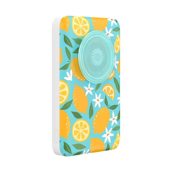 Bodega Powerbank