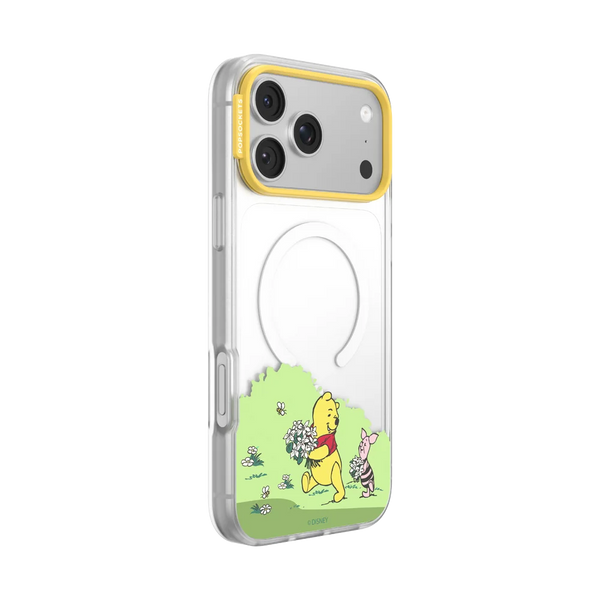 Winnie Pooh Case