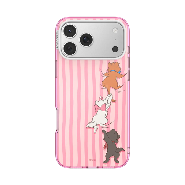 Aristocats MS Case