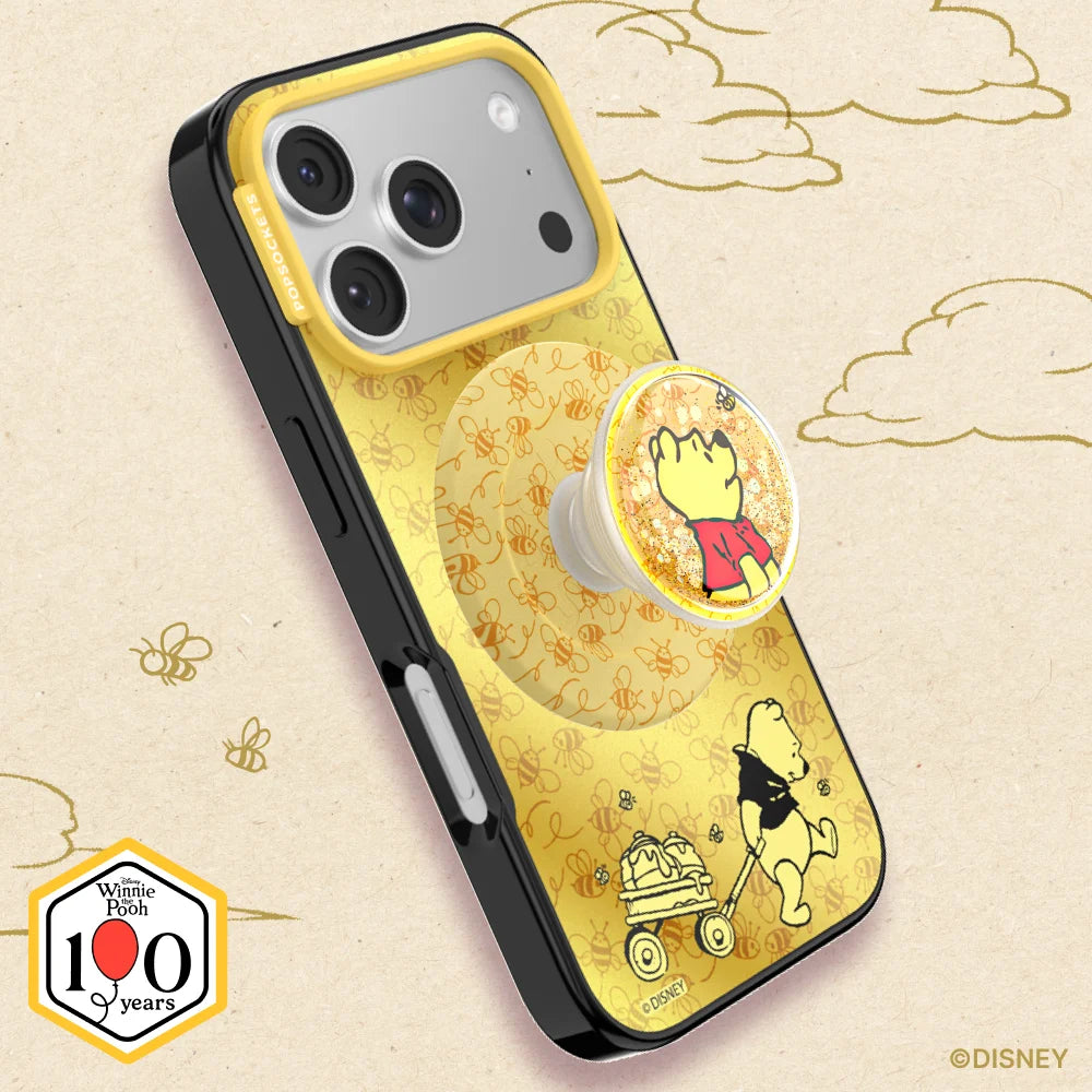 Winnie Pooh Case