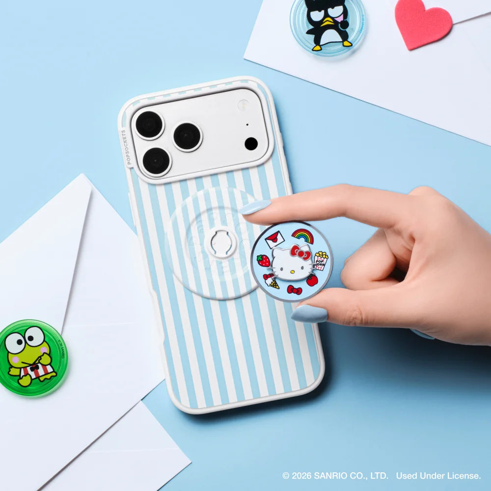 sanrio-case-master