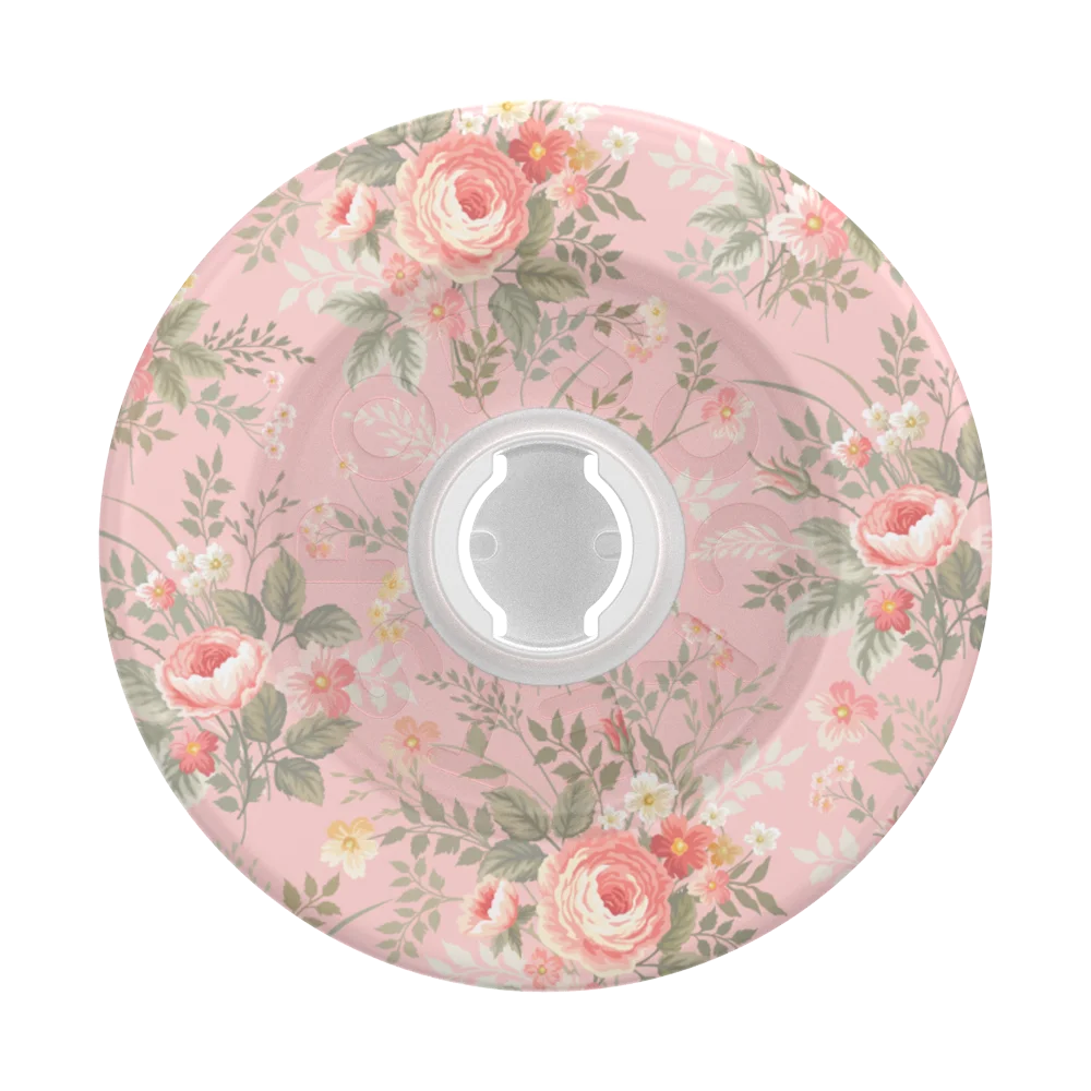 Aristocats Grips