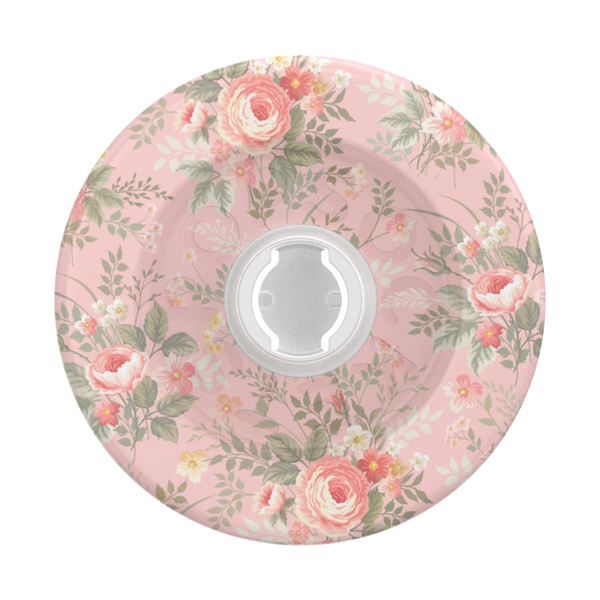 Aristocats Grips