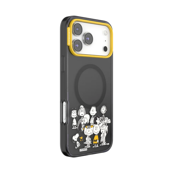 Peanuts Case