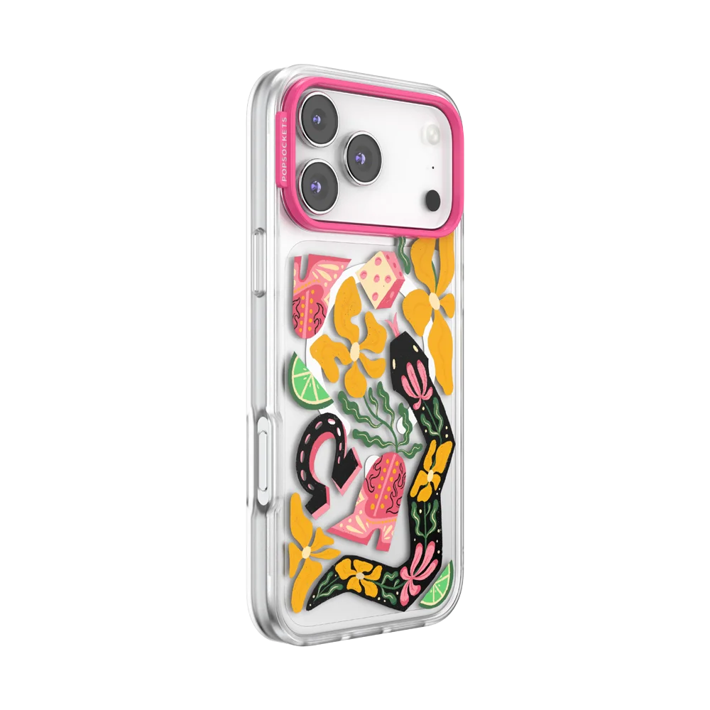 Sunset Rodeo Cases