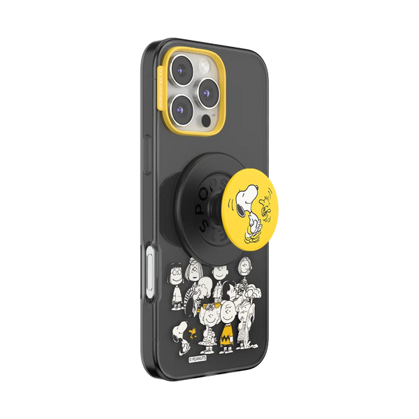 Peanuts Case