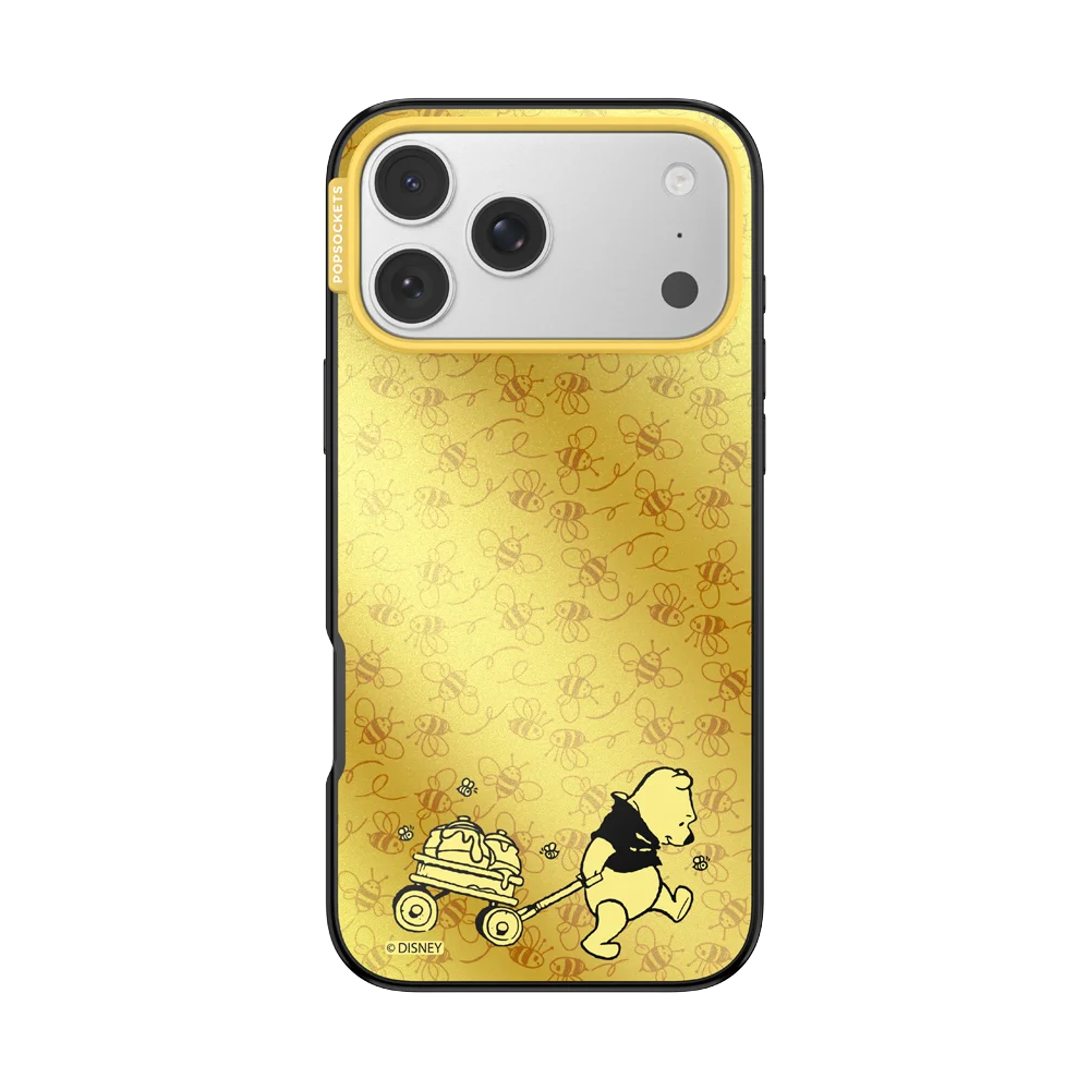 Winnie Pooh Case