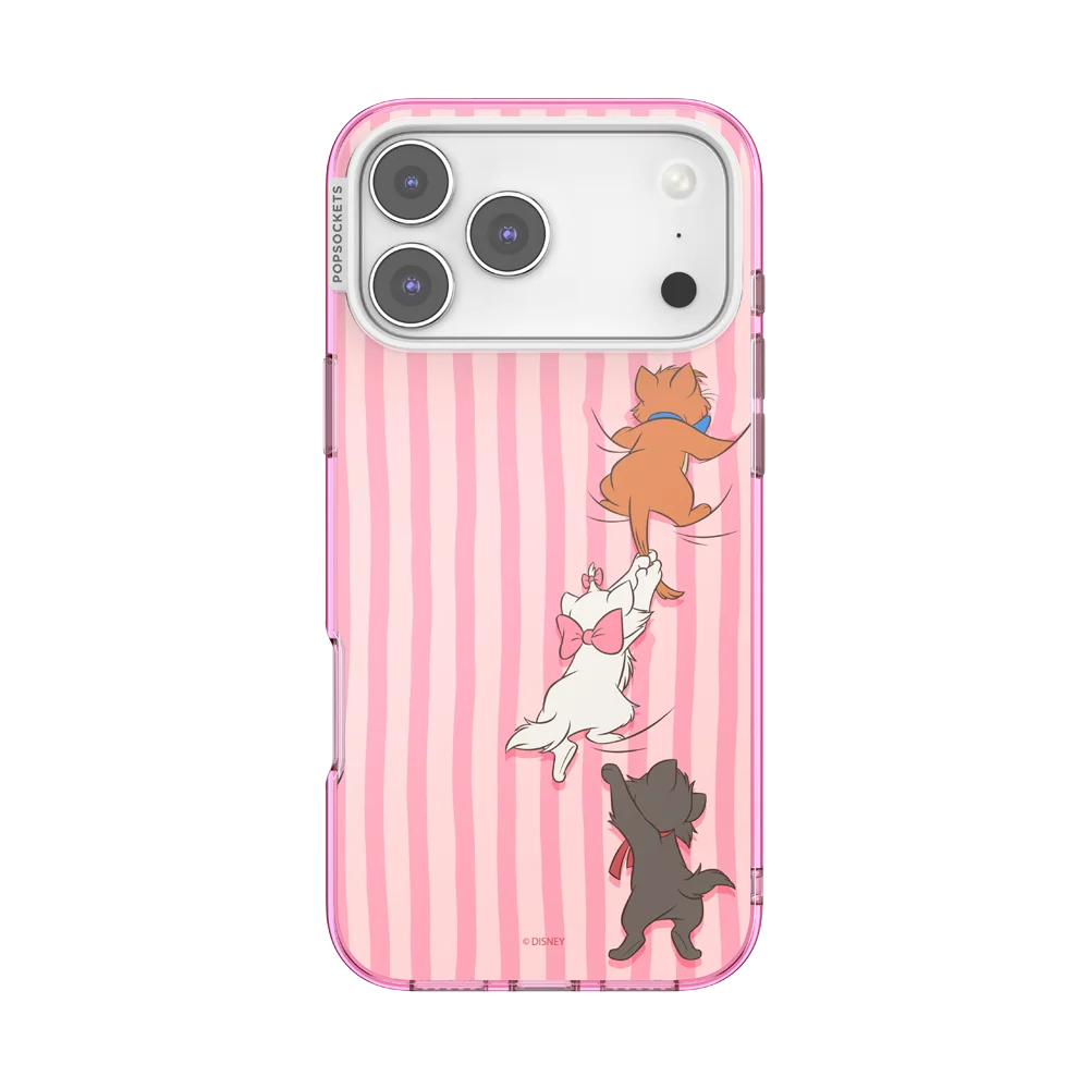 Aristocats MS Case