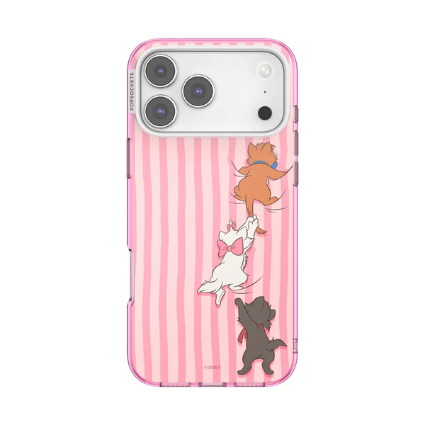 Aristocats MS Case