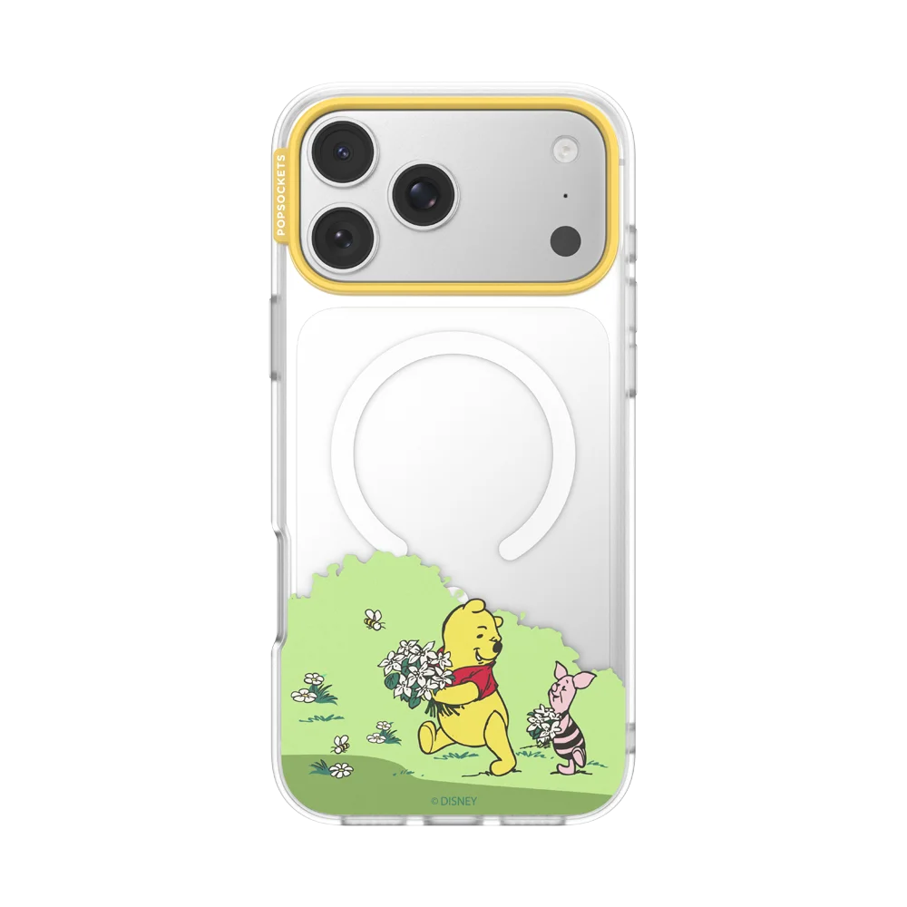 Winnie Pooh Case