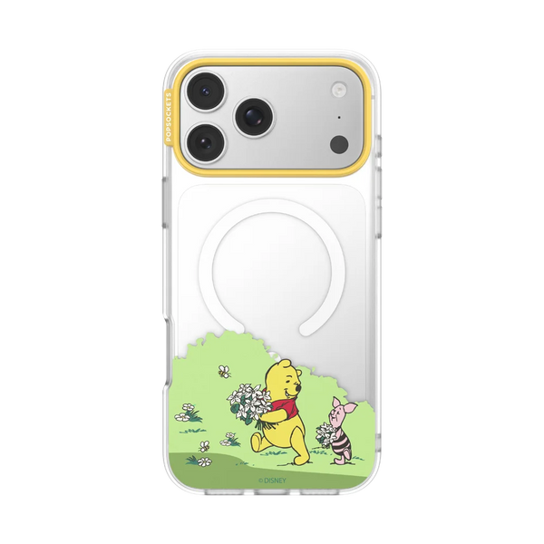 Winnie Pooh Case